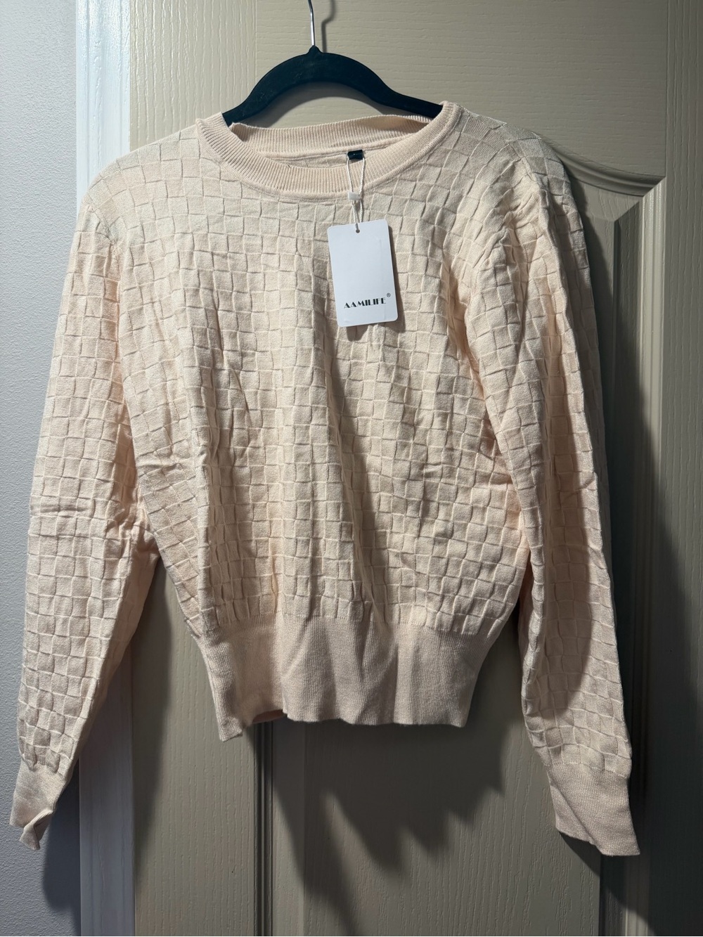 Aamiree Cream Textured Crew Neck Sweater - Women's